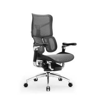 Sihoo Doro S300 scaun ergonomic negru